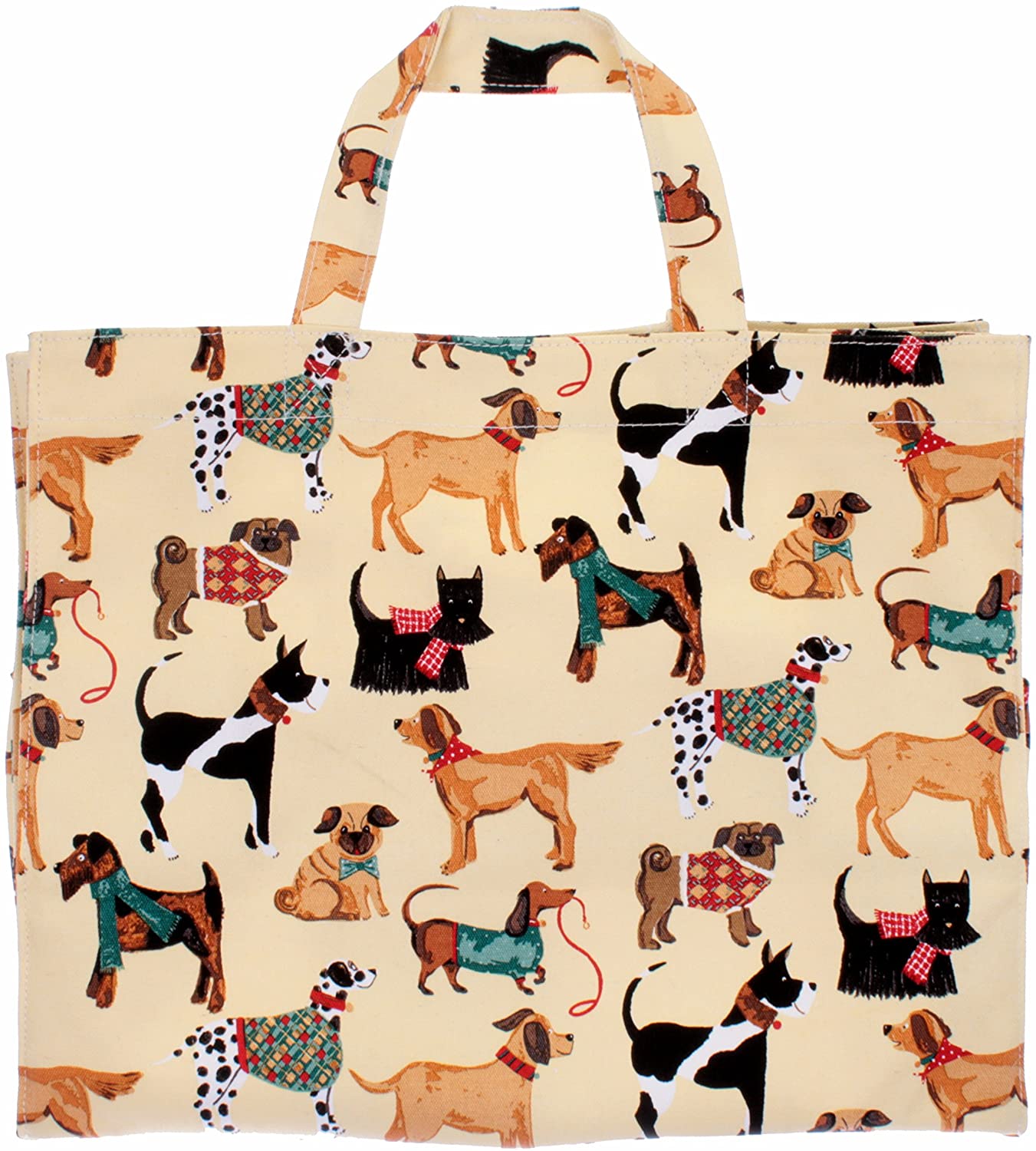Borsa plastificata